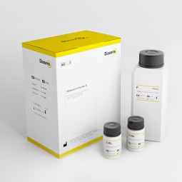 Иммуноглобулин А